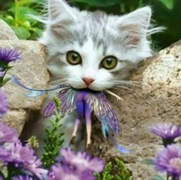 WallpapHER Boho Sleeveless Delicate Lace B… - Picture 7 of 7